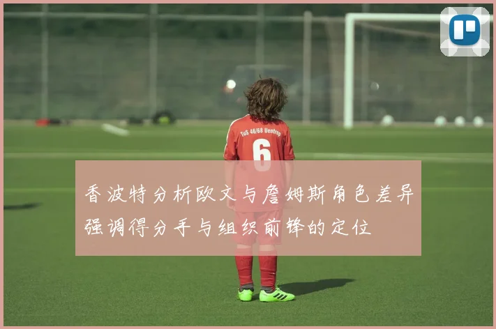 香波特分析欧文与詹姆斯角色差异强调得分手与组织前锋的定位
