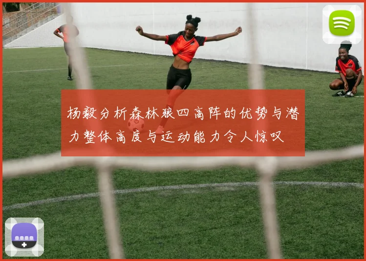 杨毅分析森林狼四高阵的优势与潜力整体高度与运动能力令人惊叹